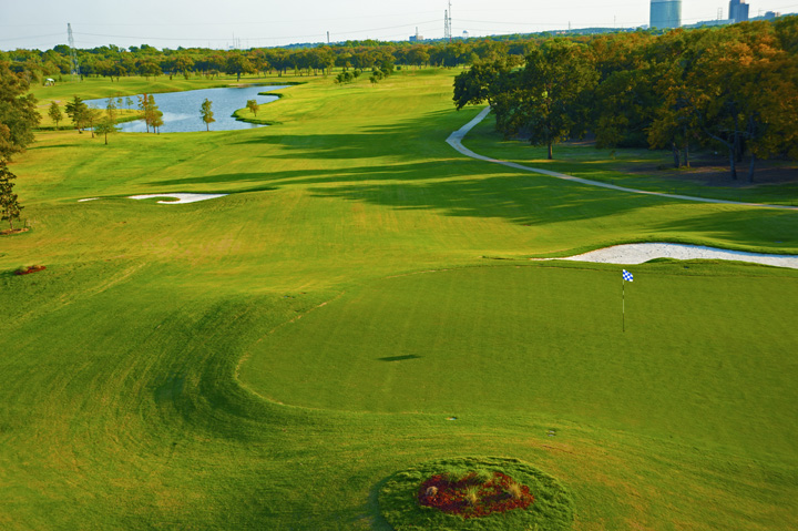 overhead view of green